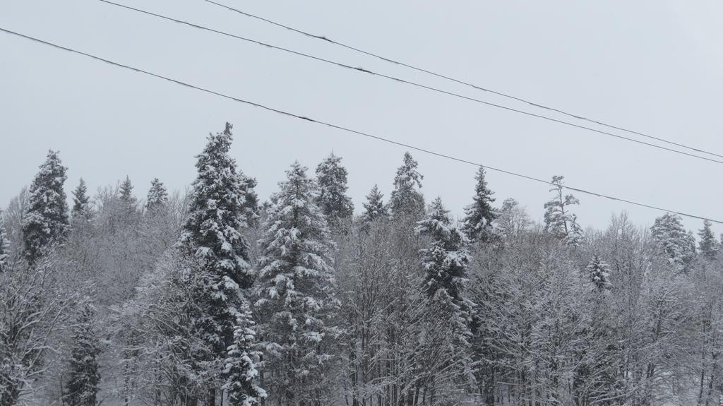 Chalet Kokhta Bakuriani Luaran gambar
